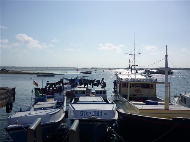 Fishing Boats